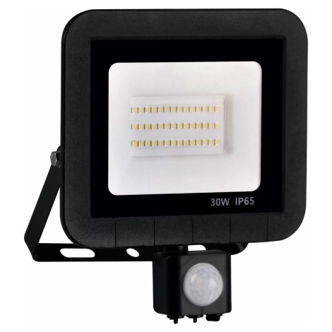 Projecteur LED avec détecteur LED/30W/230V IP65