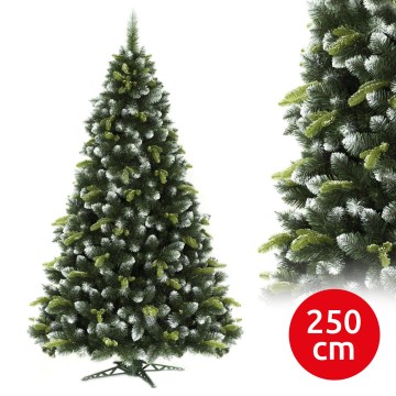 250 cm dennenboom