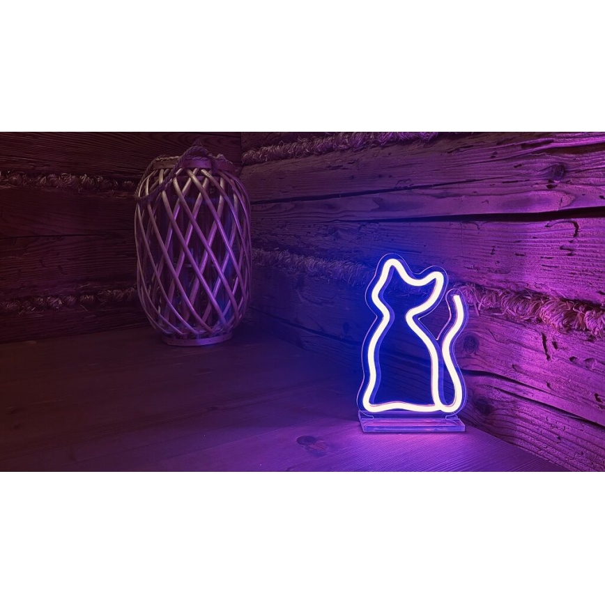 2Kids Toys - Décoration de table néon chat LED/5W/USB
