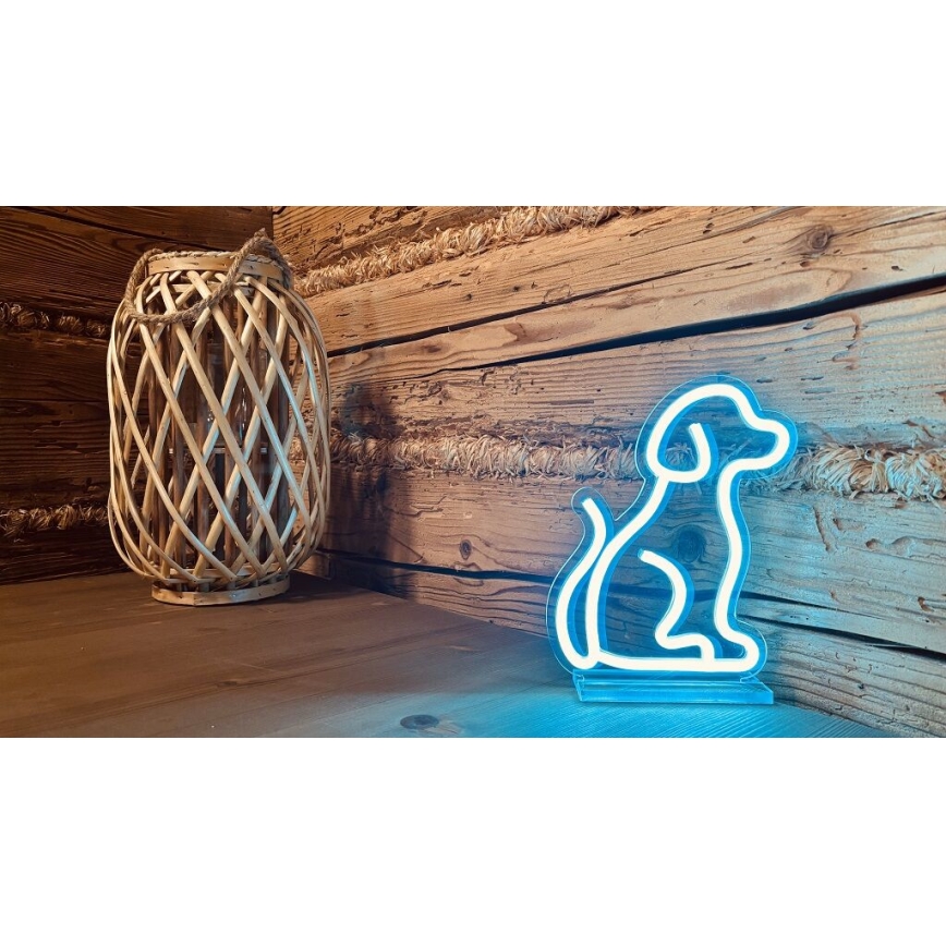 2Kids Toys - LED Neon tafel decoratie LED/5W/USB hond