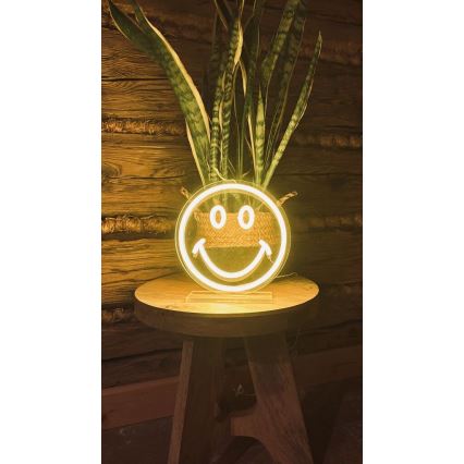 2Kids Toys - LED Neon tafel decoratie LED/5W/USB smiley