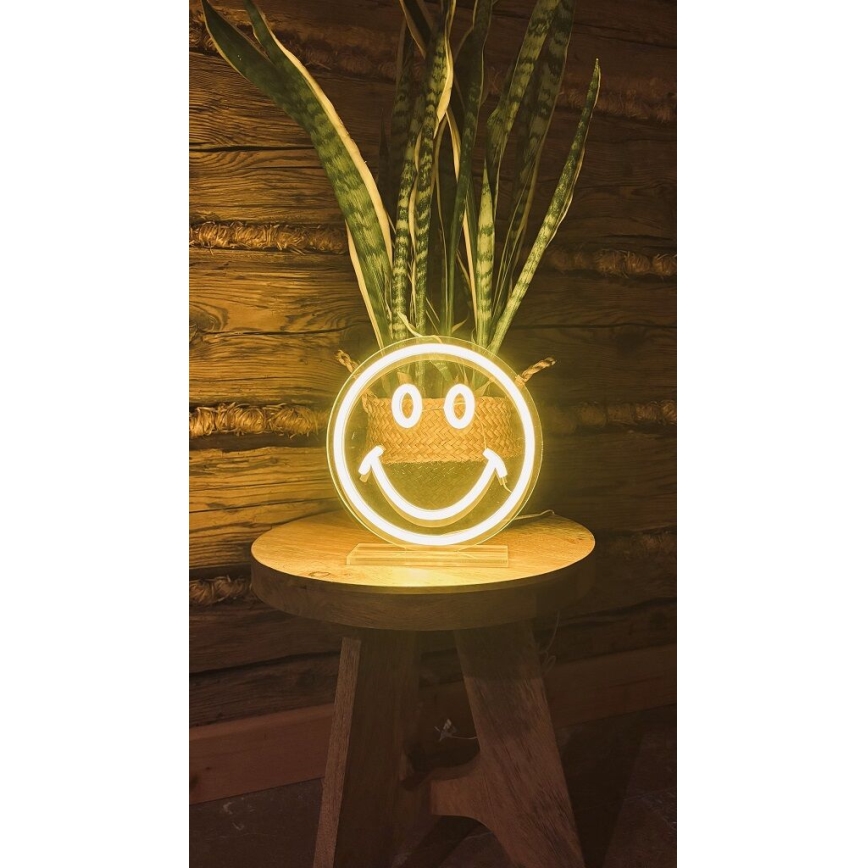 2Kids Toys - LED Neon tafel decoratie LED/5W/USB smiley
