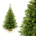 3D kerstboom 150 cm spar