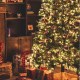 Tips en trucs om een Kerstboom correct in elkaar te zetten
