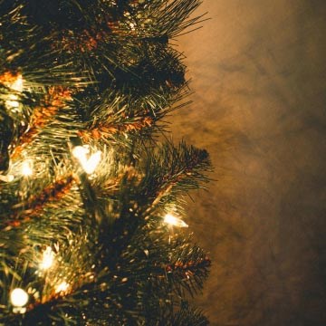 Kerstboomverlichting