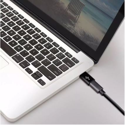 Adaptateur Micro USB pour USB C noir