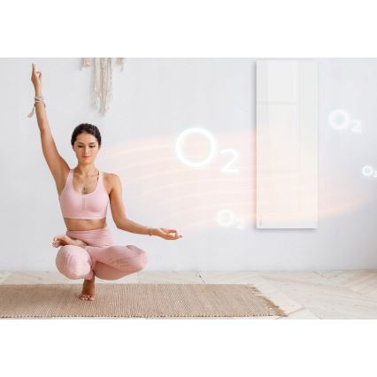 AENO - Panneau électrique connecté à infrarouge avec écran LED 700W minuteur/thermostat IP44 Wi-fi blanc