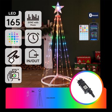 Aigostar - Décoration de Noël extérieure intelligente LED RGBICW MESH 165 LED/230 V 1,8 m IP44 + télécommande