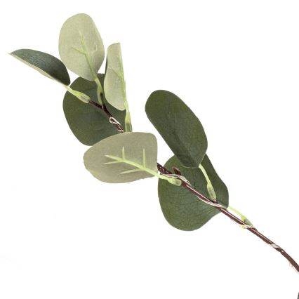Aigostar - Décoration solaire 30xLED/2,6m IP65 blanc chaud eucalyptus