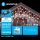 Aigostar - guirlande LED d'extérieur 200xLED/8 fonctions 13x0,6m IP44 blanc froid