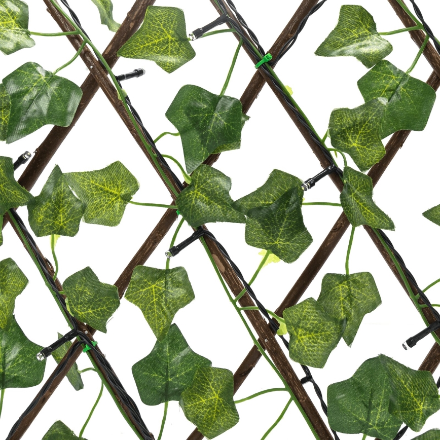 Aigostar - Guirlande solaire 56xLED/2x0,4m IP65 blanc chaud ivy