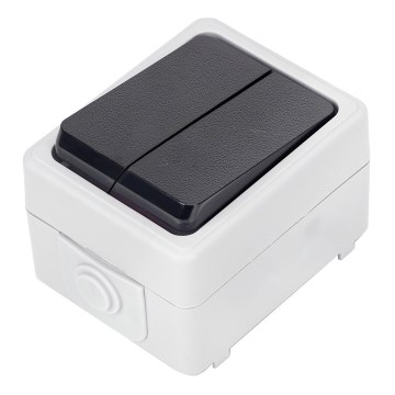 Aigostar - Huisschakelaar voor wisselstroom 250V/10A IP54