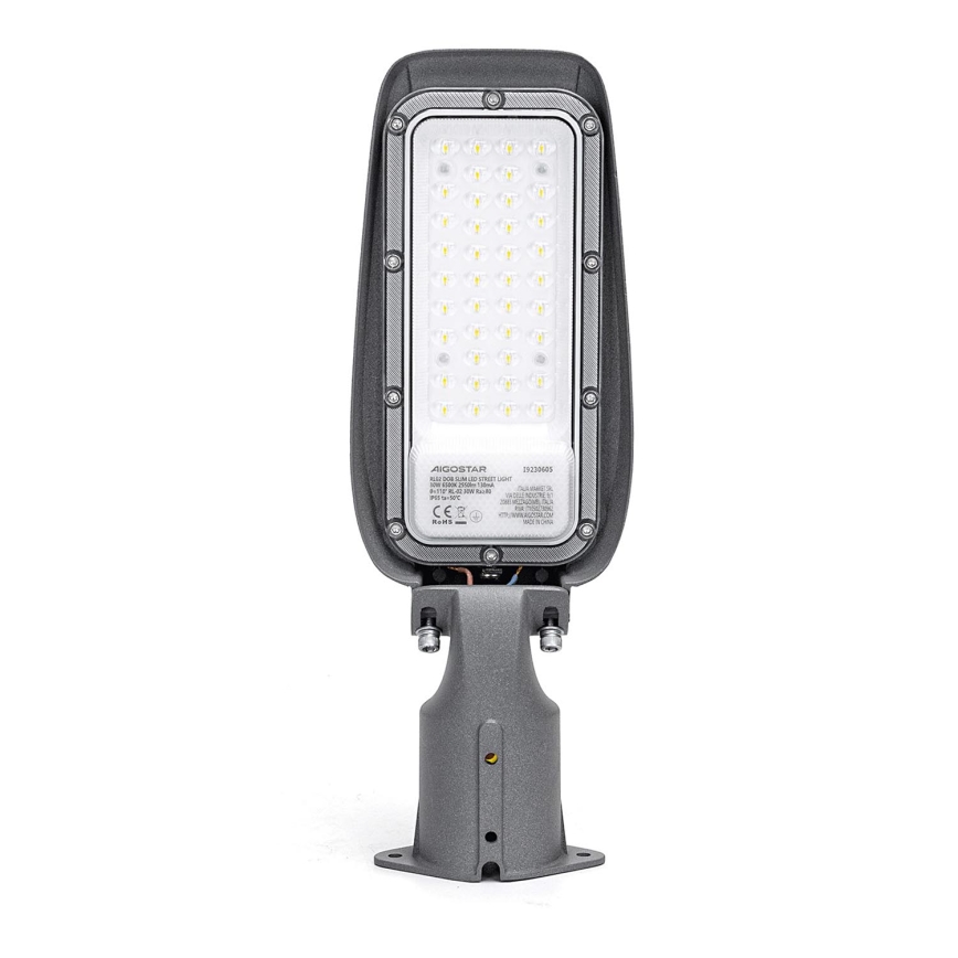 Aigostar - Lampadaire LED/30W/230V 6500K IP65