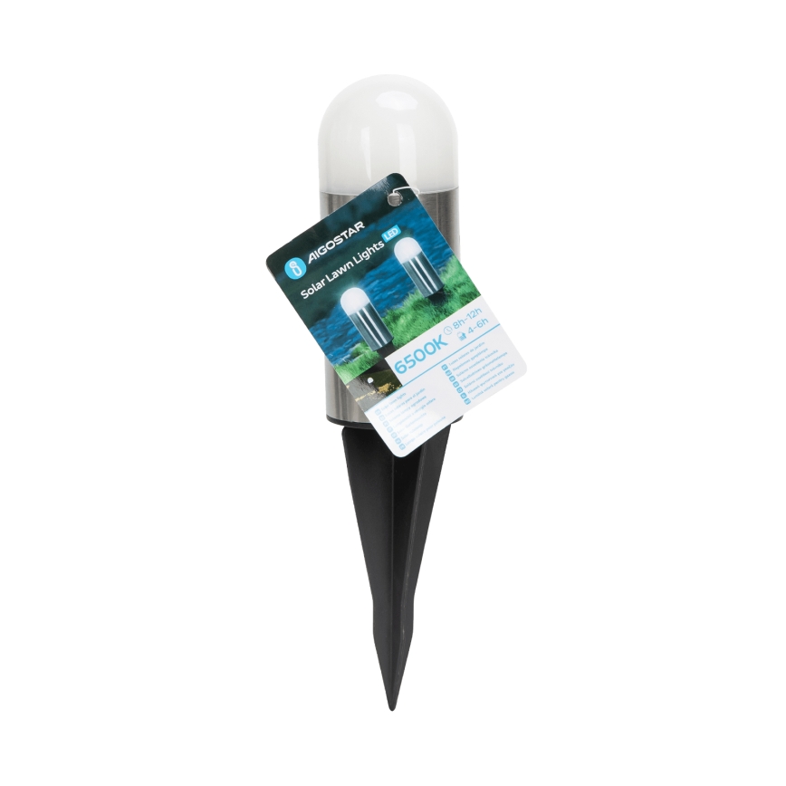 Aigostar - Lampe solaire LED/0,006W/1,2V 20cm chrome mat 40 mAh 6500K IP44
