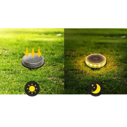 Aigostar - Lampe solaire LED/0,6W/5,5V 24,5 cm 500 mAh 3200K IP66 noir