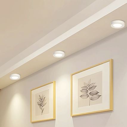 Aigostar - LED Aan plafond bevestigde lamp LED/18W/230V diameter 22,6 cm 4000K wit