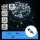 Aigostar - LED buiten kerstsnoer 300xLED/8 functies 30m IP44 koud wit