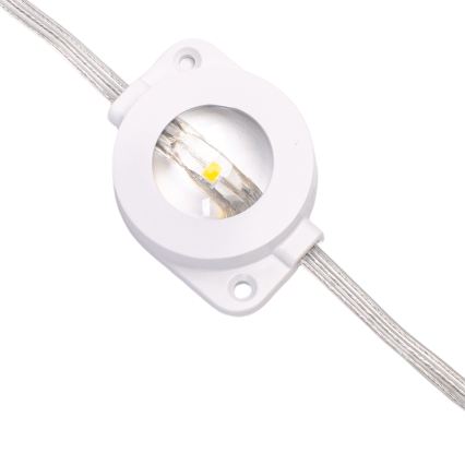 Aigostar - LED dimbaar kerstsnoer voor buiten 50xLED/8 functies 20m IP44 meerkleurig + afstandsbediening