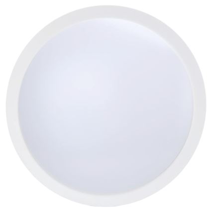 Aigostar - LED Dimbare plafondlamp met ventilator MESH LED/50W/230V 2700-6500K zwart + afstandsbediening