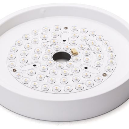 Aigostar - LED dimbare plafondventilator LED/24W/230V 2700-6500K diameter 165 cm + afstandsbediening wit