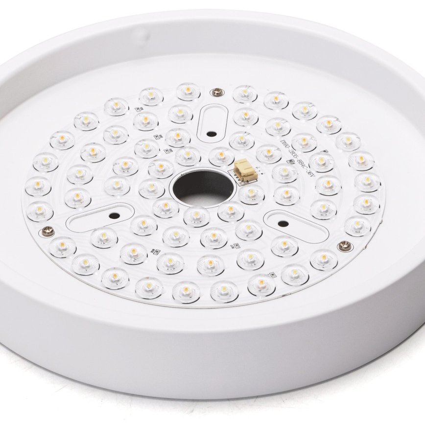 Aigostar - LED dimbare plafondventilator LED/24W/230V 2700-6500K diameter 165 cm + afstandsbediening wit