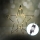 Aigostar-LED Kerstdecoratie voor buiten LED/3,6W/230V ster 30cm IP44 warm wit
