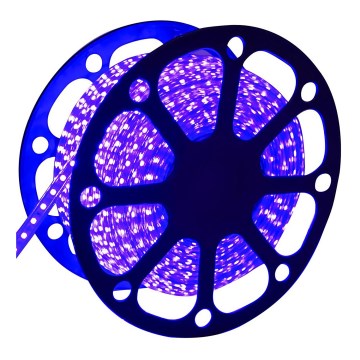 Aigostar - LED Lichtstrip voor buiten 50m LED/300W/230V blauw IP65