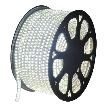 Aigostar - LED Lichtstrip voor buiten 50m LED/350W/230V 6500K IP65