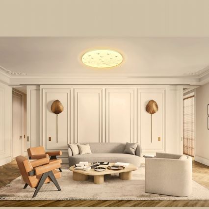 Aigostar - LED Plafondlamp LED/20W/230V 3000K diameter 33cm