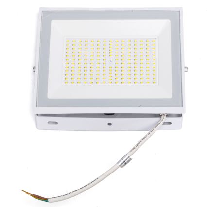 Aigostar - LED-schijnwerper 100W/230V 6500K IP65