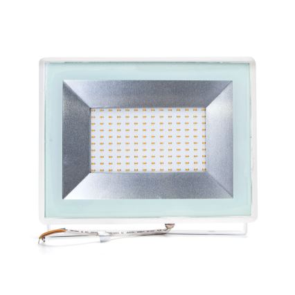 Aigostar - LED Schijnwerper LED/100W/230V IP65 wit