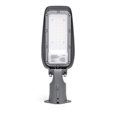 Aigostar - LED Straatlantaarn LED/30W/230V 6500K IP65