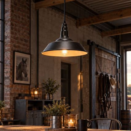 Aigostar - LED suspension sur câble 1xE27/60W/230V Ø 36 cm noire