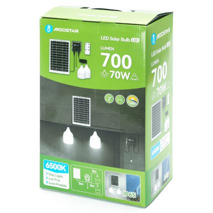 Aigostar - Lustre solaire LED 2x LED / 35 W / 12 V, 6000 mAh, 6500 K, IP65, Ø 10 cm + télécommande