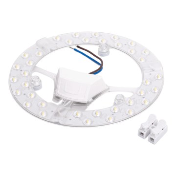 Aigostar - magnetische LED-module LED/24W/230V 6500K