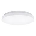 Aigostar - Plafonnier LED/24W/230V 3000K