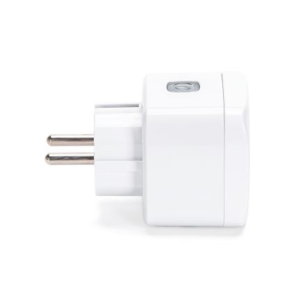 Aigostar - Prise connectée E 2300 W Wi-Fi Tuya