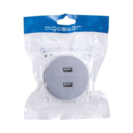 Aigostar - Prise d'alimentation USB sans cadre, 2 ports USB-A, argent