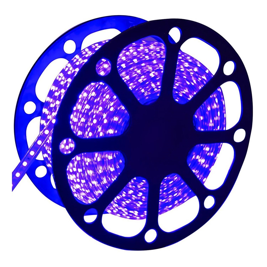 Aigostar - Ruban extérieur 50m LED/300W/230V bleu IP65