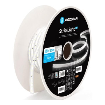 Aigostar - Ruban LED LED/250W/230V 50m 6500K IP65