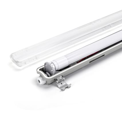 Aigostar - Tube fluorescent industriel LED 1xG13/18W/230V 4000K 127,6 cm IP65