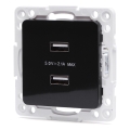 Aigostar - USB-oplaadstopcontact zonder afdekraam, 2x USB-A, zwart