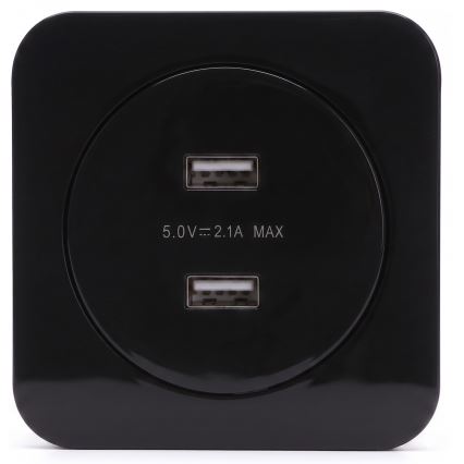 Aigostar - USB-wandcontactdoos met afdekraam 2x USB-A zwart