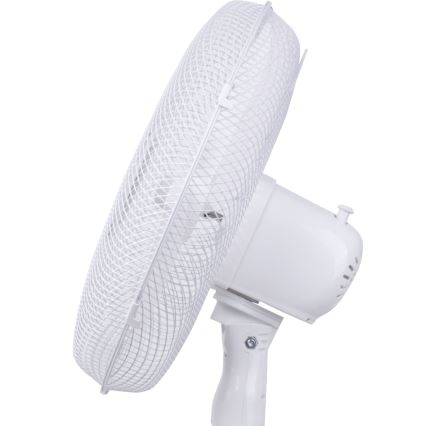 Aigostar - Ventilateur sur pied 40W/230V 120 cm blanc