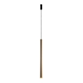 Amplex - Hanglamp aan een koord 1xGU10-MR11/15W/230V zwart/messing