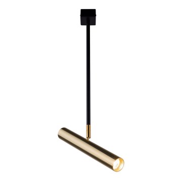 Amplex - Hanglamp met vaste pendel 1xGU10-MR11/15W/230V zwart/messing