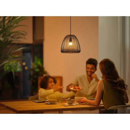 Ampoule à intensité variable LED Philips Hue WHITE AMBIANCE P45 E14/5,1W/230V 2200-6500K