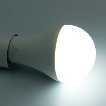 Ampoule à intensité variable LED RGBW A60 E27/15W/230V 2700-6500K Wi-Fi Tuya
