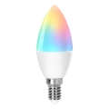 Ampoule à intensité variable LED RGBW C37 E14/4,9W/230V 2700-6500K - Aigostar