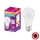 Ampoule antibactérienne LED A100 E27/13W/230V 6500K - Osram